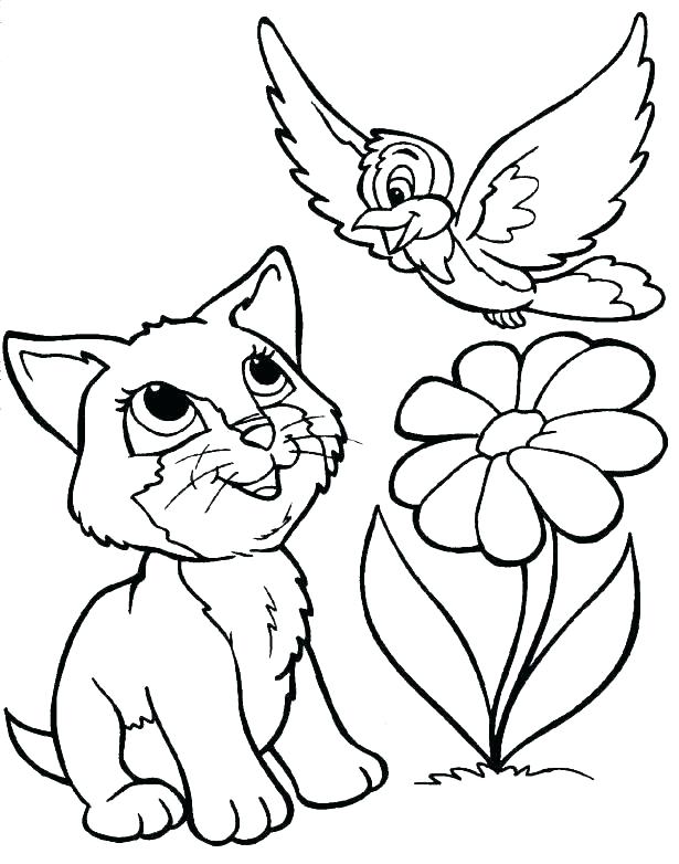 615x782 Panther Animal Coloring Pages Wild Animals Coloring Pages