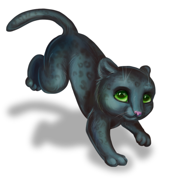 600x600 Collection Of Cute Panther Drawing High Quality, Free
