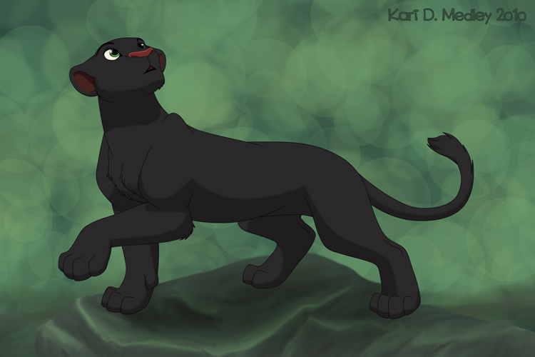 750x500 Black Panther By Dukacia