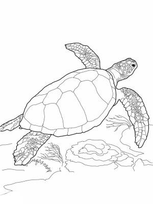 300x400 Cute Sea Turtle Coloring Page