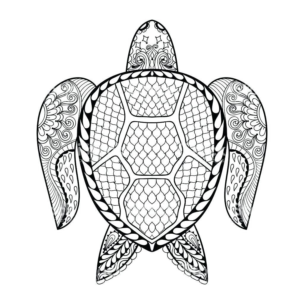 1024x1024 Cute Sea Turtle Coloring Pages Free Books Amazing Sea Turtle