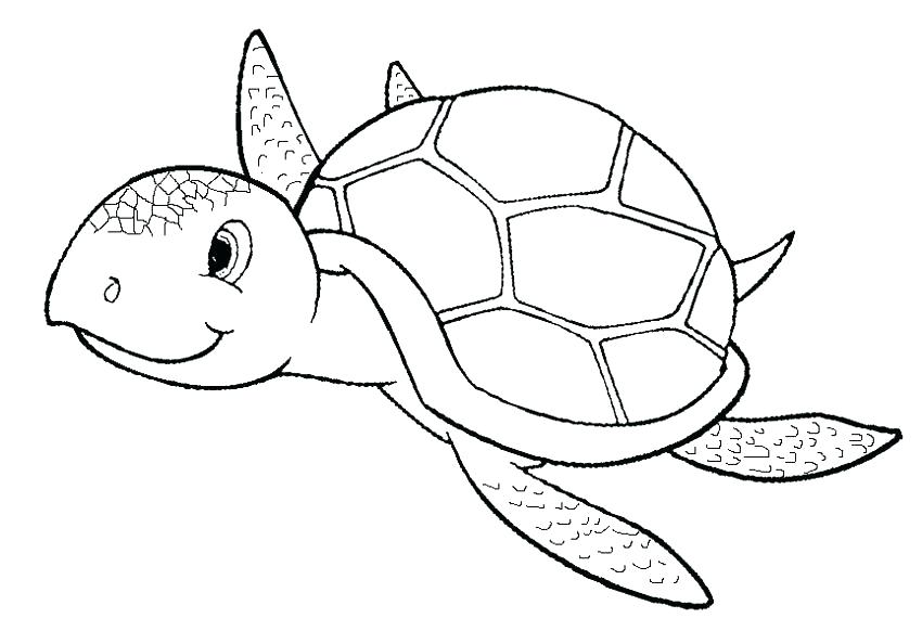 850x594 Free Printable Sea Turtle Coloring Pages Coloring Free Printable