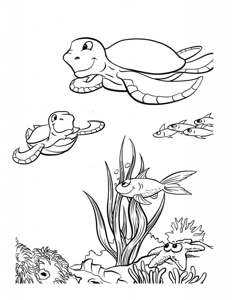 791x1024 Free Printable Sea Turtle Coloring Pages For Kids And Beauteous