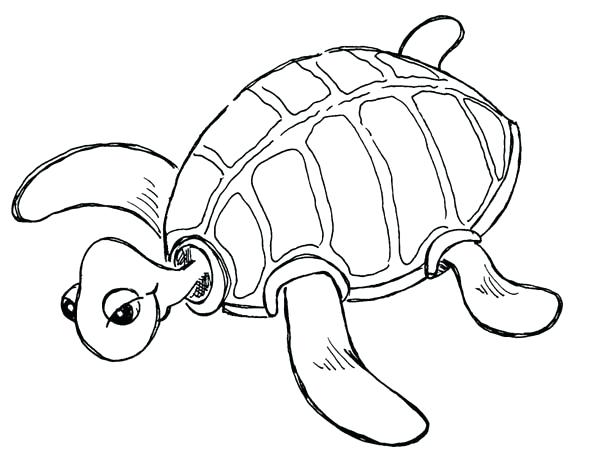 600x464 Printable Sea Turtle Coloring Page Coloring Me Cute Sea Turtle