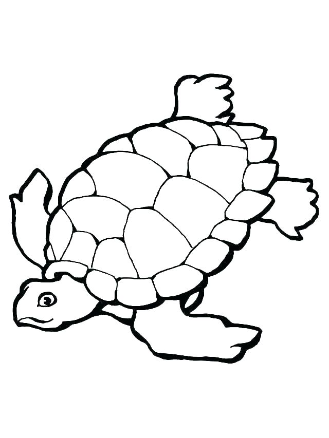 640x853 Sea Turtle Coloring Pages Print Sea Turtle Coloring Pages