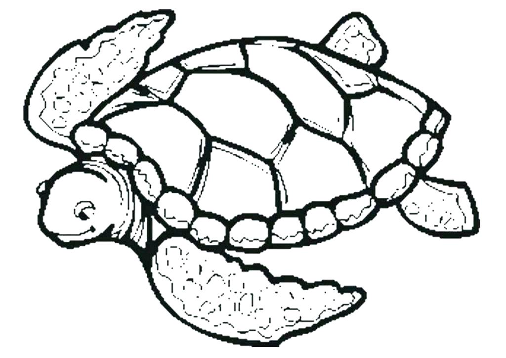 1024x724 Sea Turtles Coloring Pages Coloring Pages Turtle Turtle Coloring