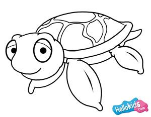 300x233 Cool Patterns Here Is A Drawing Of A Cute Sea Turtle Made By