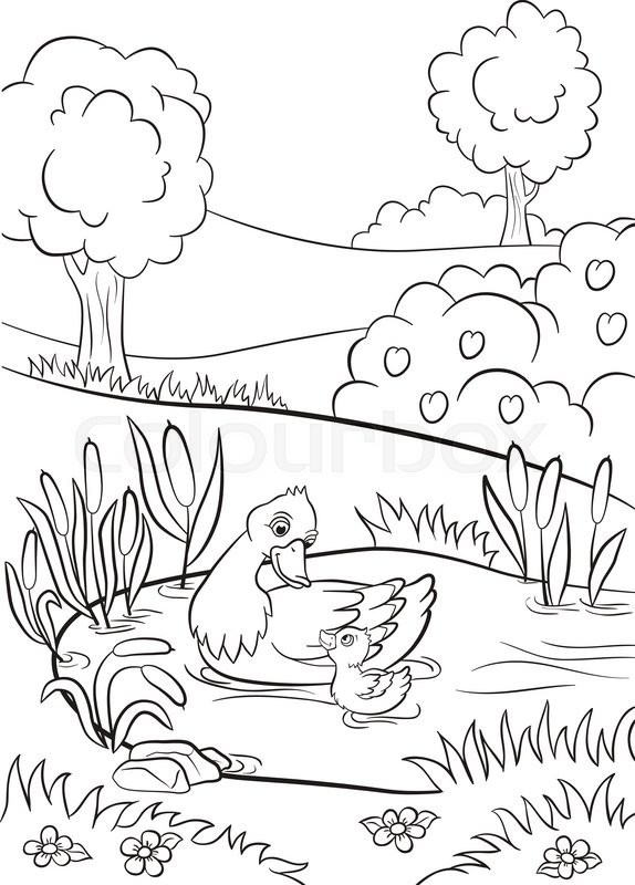 574x800 Coloring Pages. Kind Duck And Little Cute Duckling Swim On