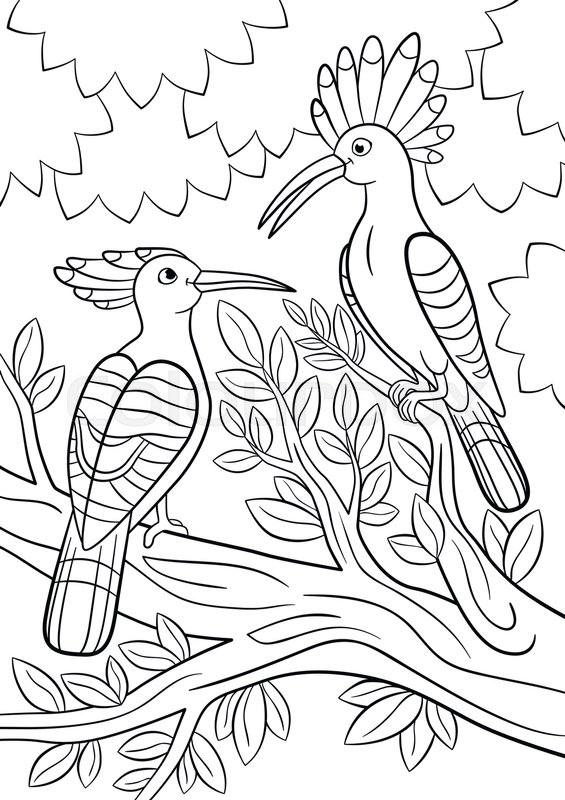 565x800 Coloring Pages. Two Cute Beautiful Hoopoes Sit On The Tree Branch