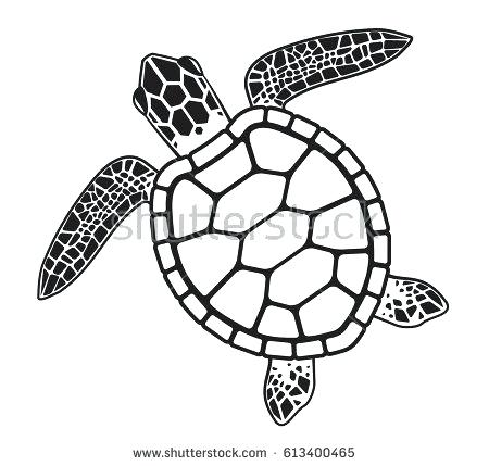 450x429 Turtle Drawings Pencil Drawings Of Turtles Easy Draw Sea Turtle