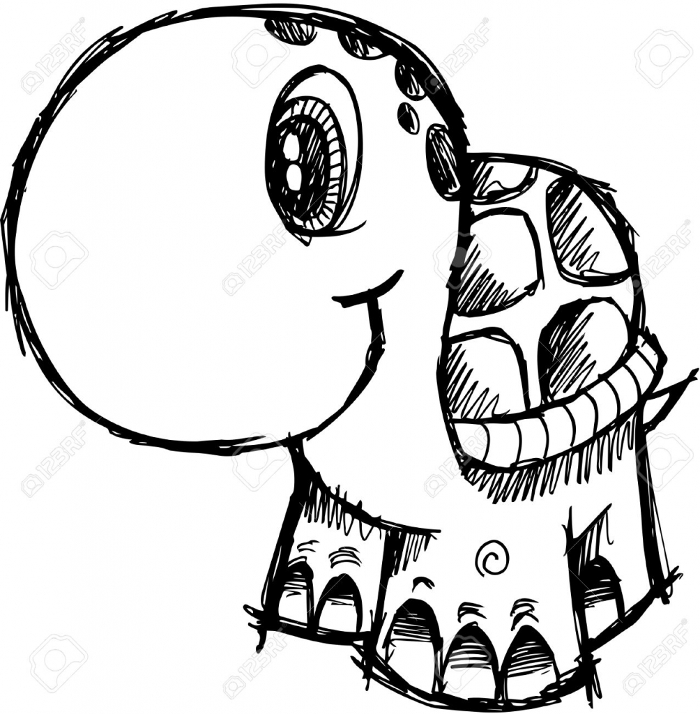 1004x1024 Cute Turtle Drawing