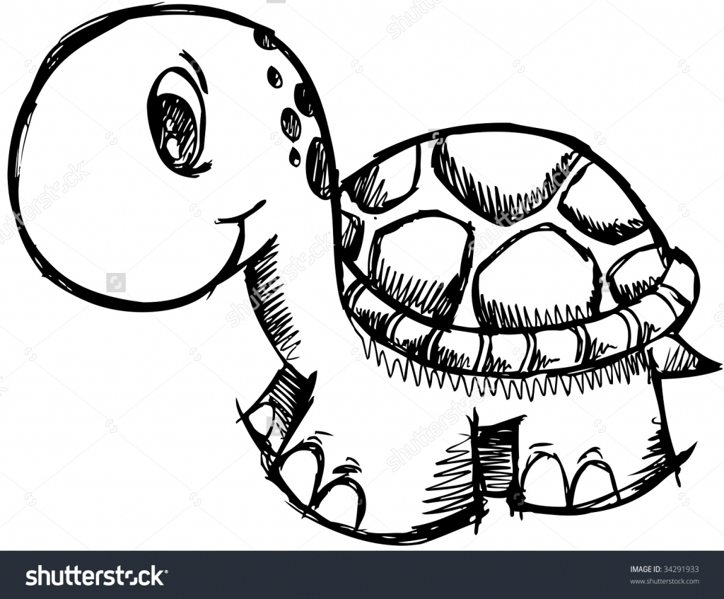1024x847 Cute Turtle Drawings Cute Turtle Drawing Cute Sketchy Turtle