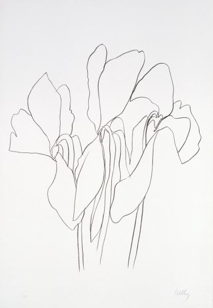 415x600 Cyclamen V Smithsonian American Art Museum