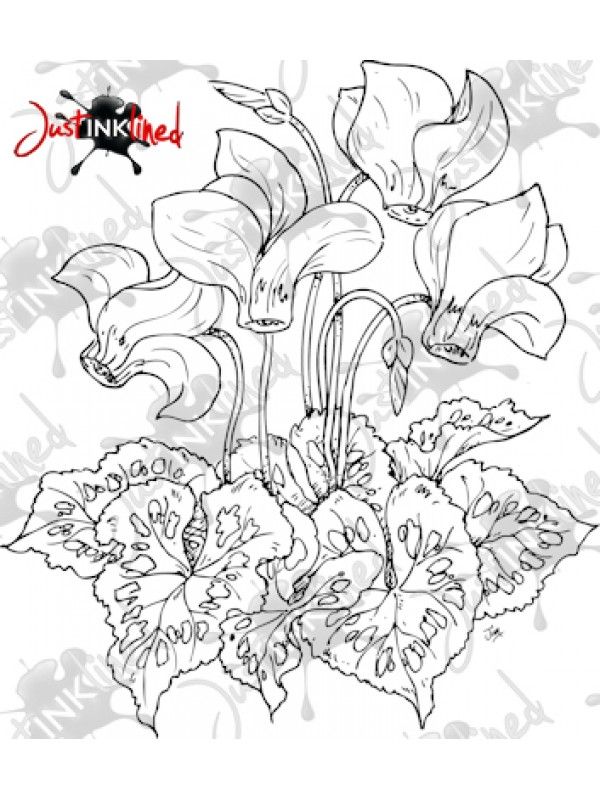 600x800 Digital Stamp Cyclamen Happy Digital, Stamps