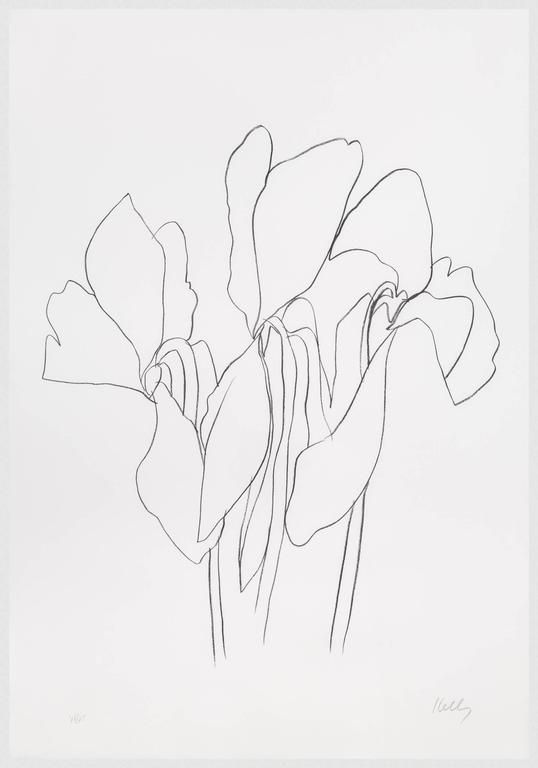 538x768 Ellsworth Kelly