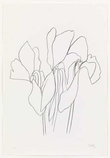 355x512 Ellsworth Kelly. Cyclamen V From Suite Of Plant Lithographs. 1964
