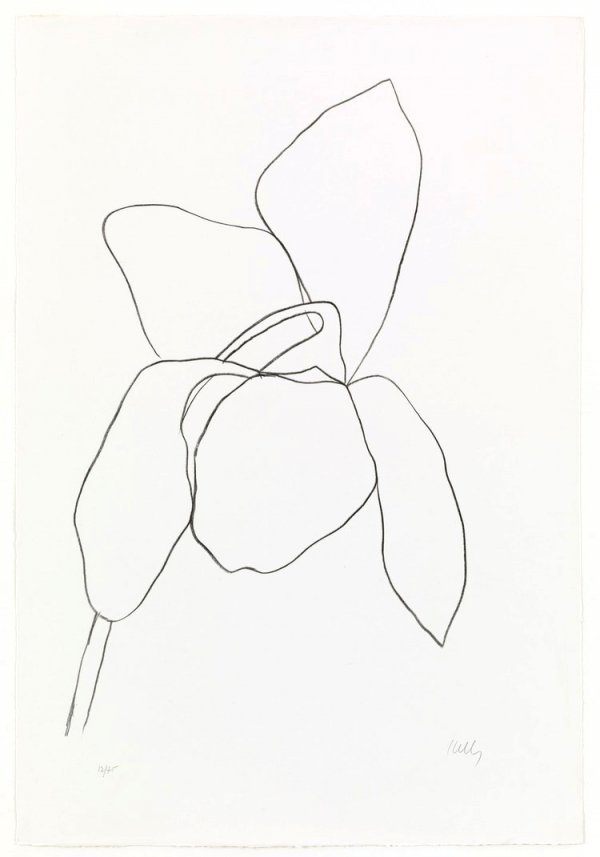 600x857 Cyclamen I By Ellsworth Kelly