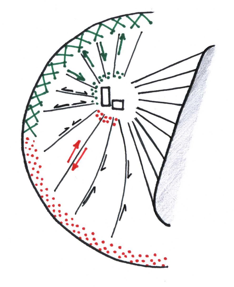 984x1208 Cell Division