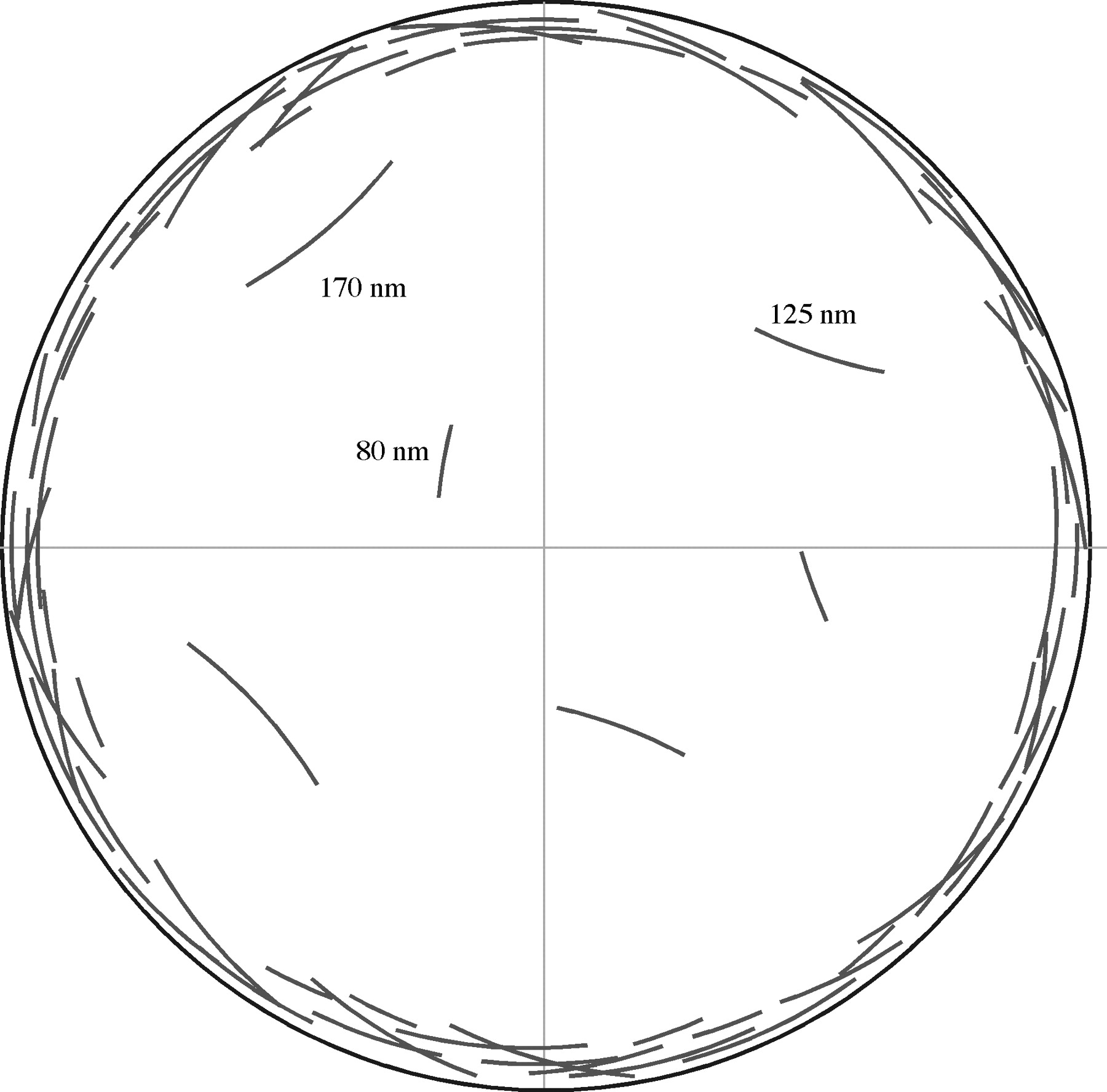 1800x1775 Modeling The Physics Of Ftsz Assembly And Force Generation Pnas