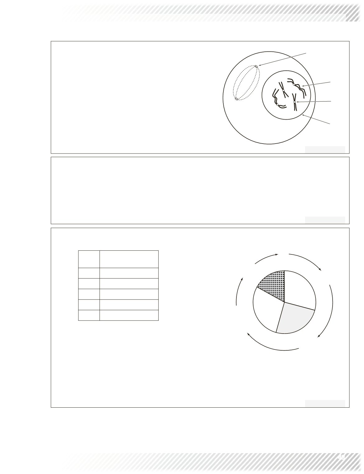 1170x1522 Wjec As Human Biology