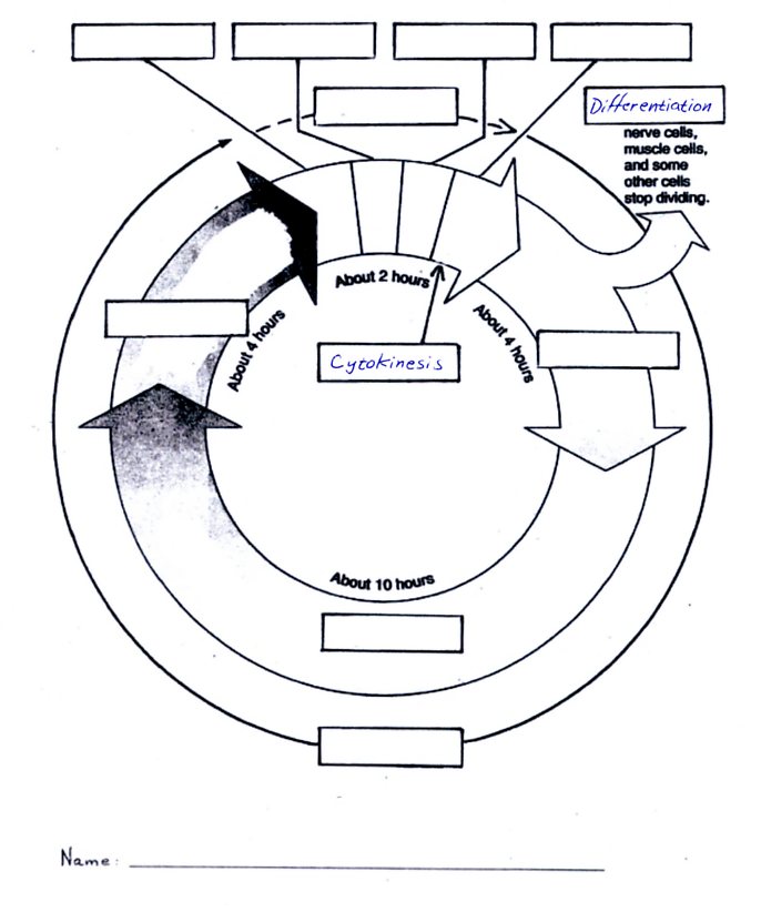 686x822 4 Gb1 Learnres Web Ch09