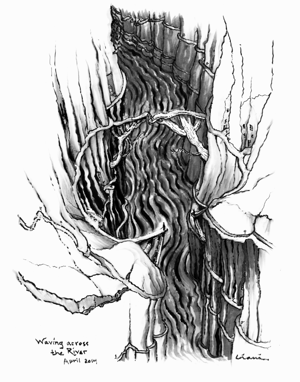 1000x1273 Flood Drawings Mary Ciani