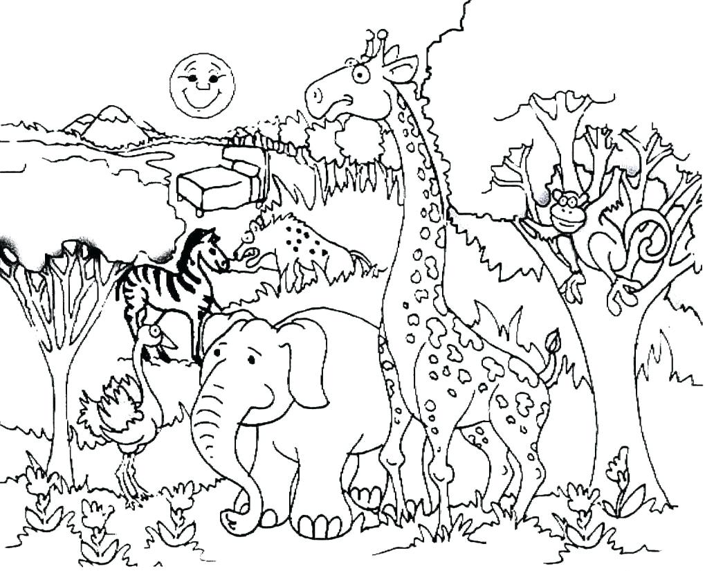 1019x825 Superior Woodland Creatures Coloring Pages Forest Habitat Drawing