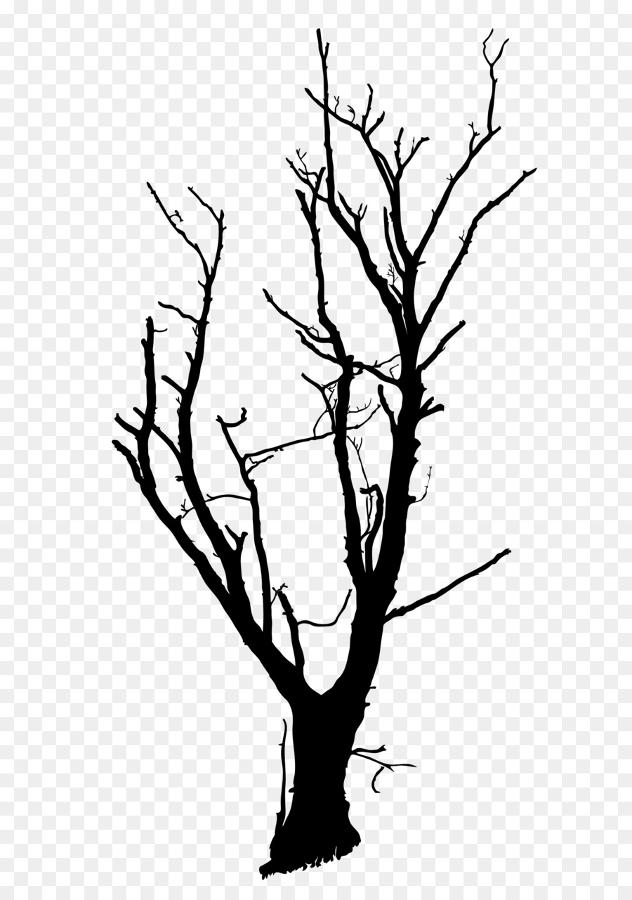 900x1280 Tree Drawing Branch Clip Art