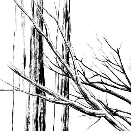 420x420 Tree Manga Materials