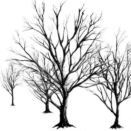 420x420 Complete Drawing With Stamp Only! Draw A Backlight Sunset Scene