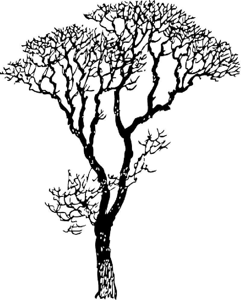 800x994 Dead, Black, Africa, Outline, Drawing, Sketch