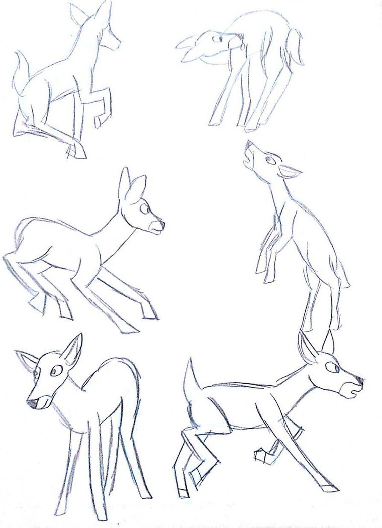 760x1051 Deer Pose Practice By Weasel Girl