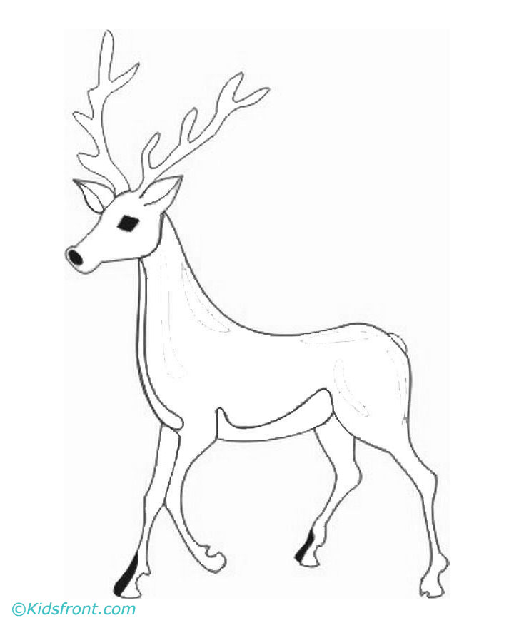 720x880 Baby Deer Coloring Pages