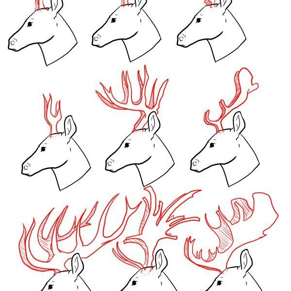 600x600 How To Draw A Deer Head Step By Step Easy How To Draw A Deer Draw