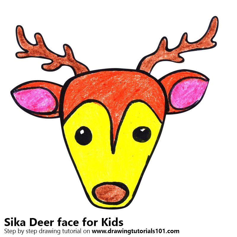 800x800 Learn How To Draw A Sika Deer Face For Kids (Animal Faces For Kids