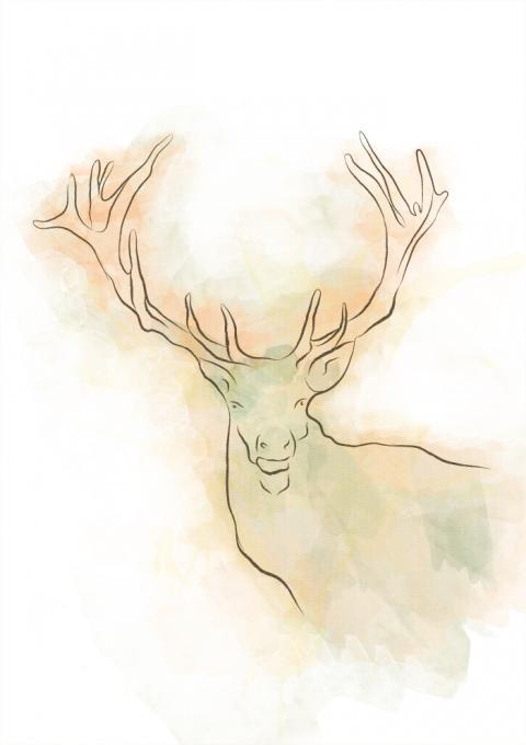 480x680 Watercolour Deer. Nature. Drawings. Pictures. Drawings Ideas