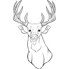225x225 Stag Head Outline