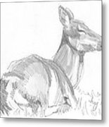 155x180 Deer Lying Down Drawing Drawing By Mike Jory