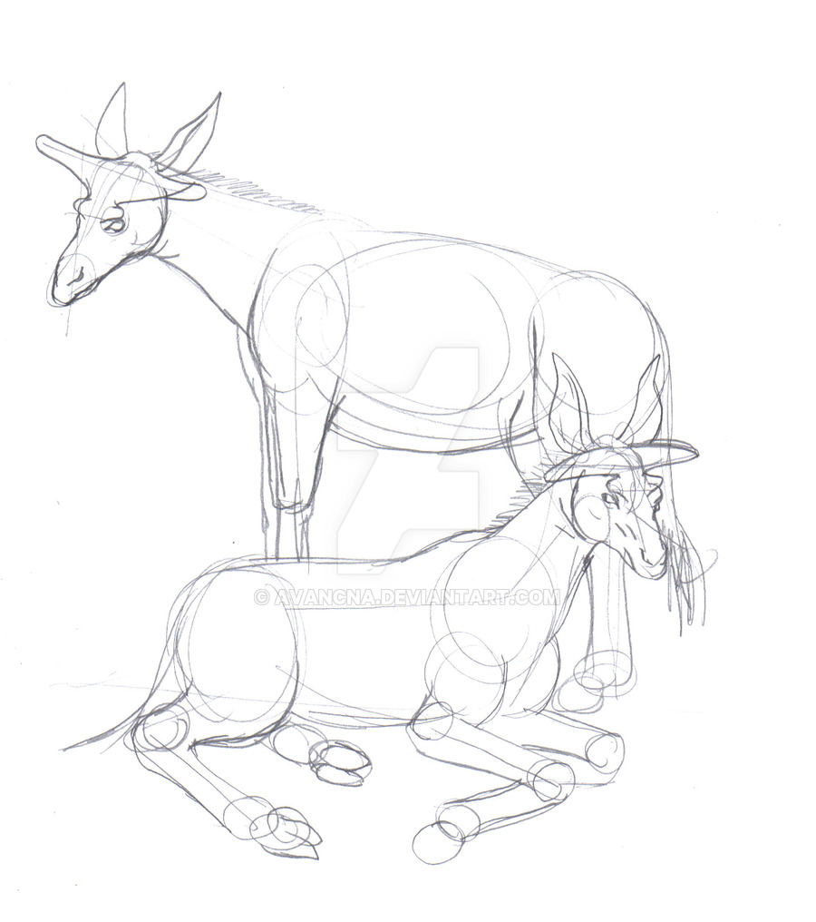 900x1016 Sketch Injanatherium By Avancna