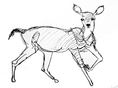 470x352 Art By Jeane Nevarez January 2013