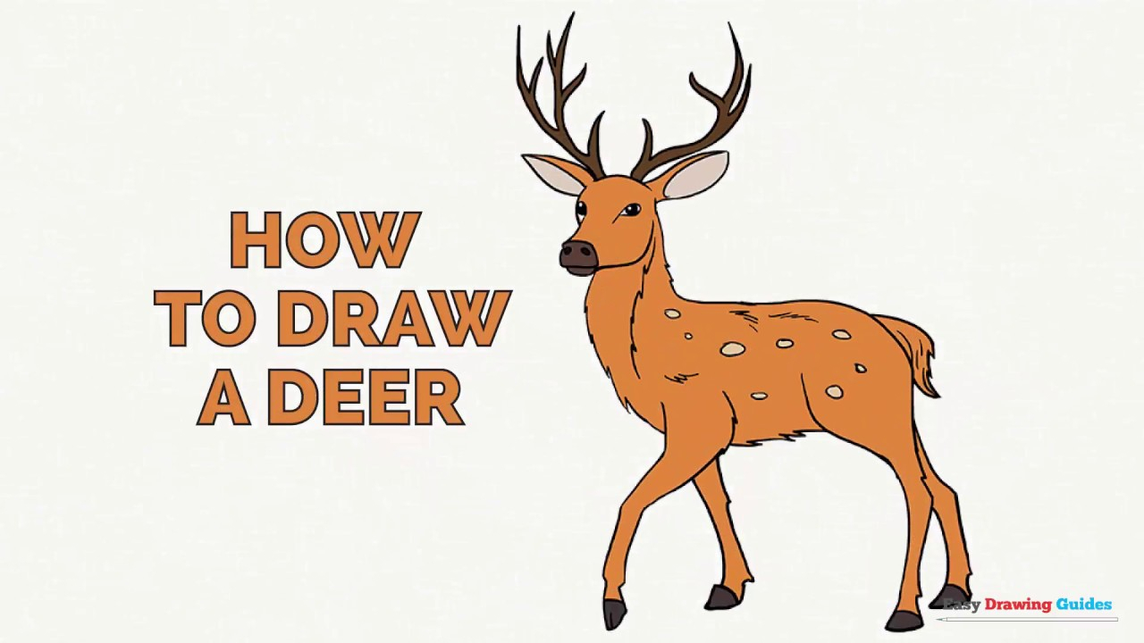 1280x720 How To Draw Adeer How To Draw A Deer For Kids Deer Color Pages