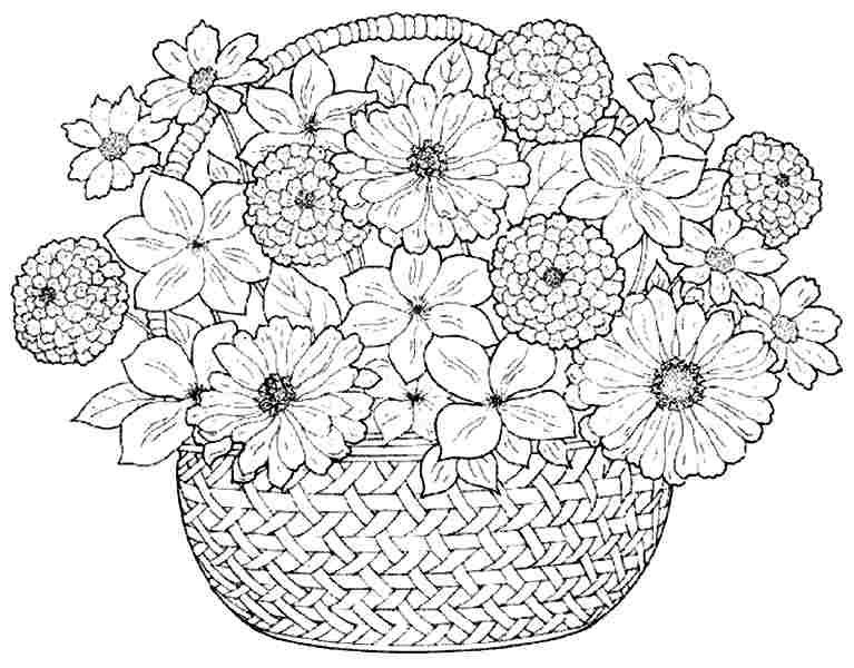 767x600 Modern Printable Coloring Pages Of Flowers Preschool For Beatiful