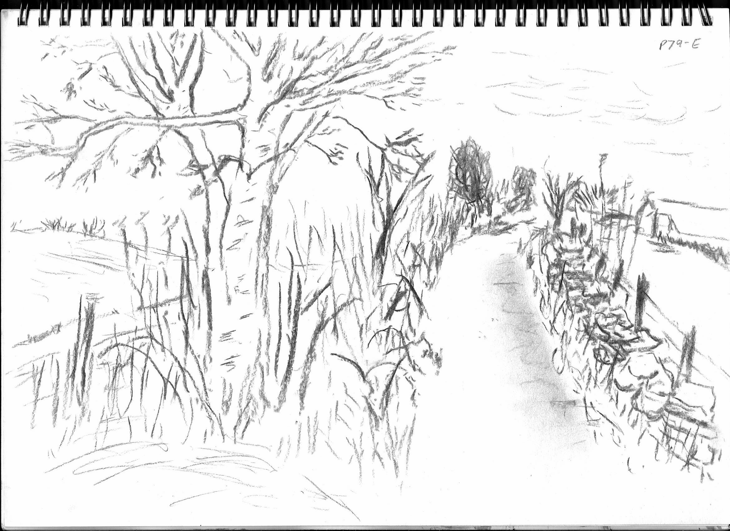 2338x1700 P79 360 Degree Studies The Milkman Goes To College