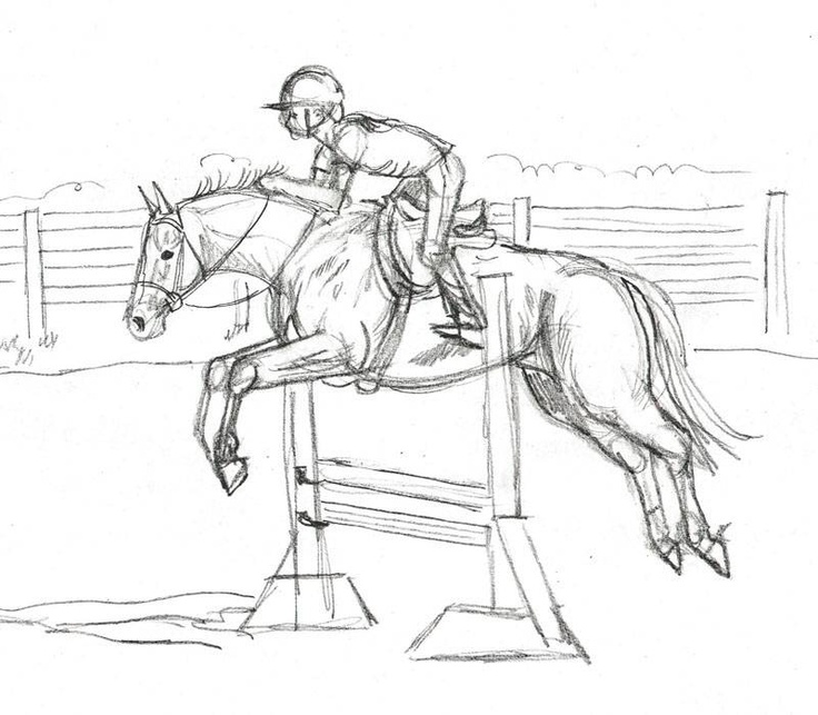 736x643 Best 18 Drawings Ideas On Horse Drawings, Horses