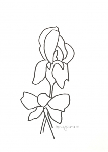 214x300 Derrick Greaves. Iris Drawings