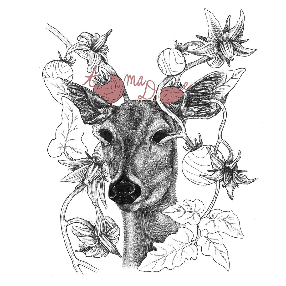 1200x1200 Objects Of Desire Toma Doe