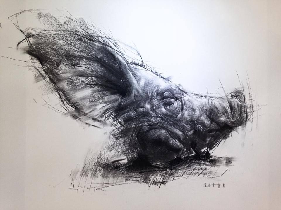 960x720 83 Best Zin Lim Images On Figure Drawing, Charcoal