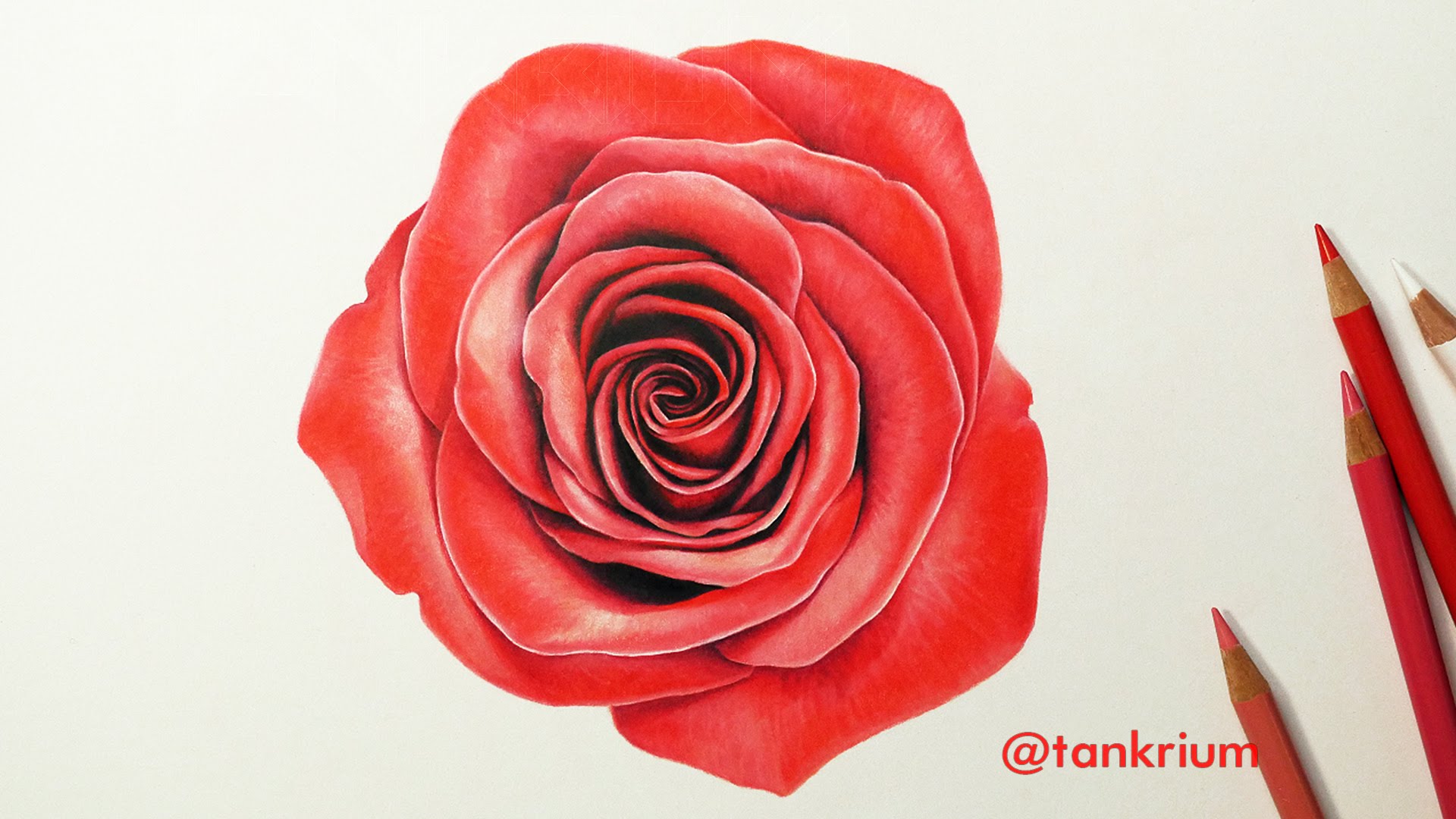 1920x1080 Drawn Red Rose Detailed