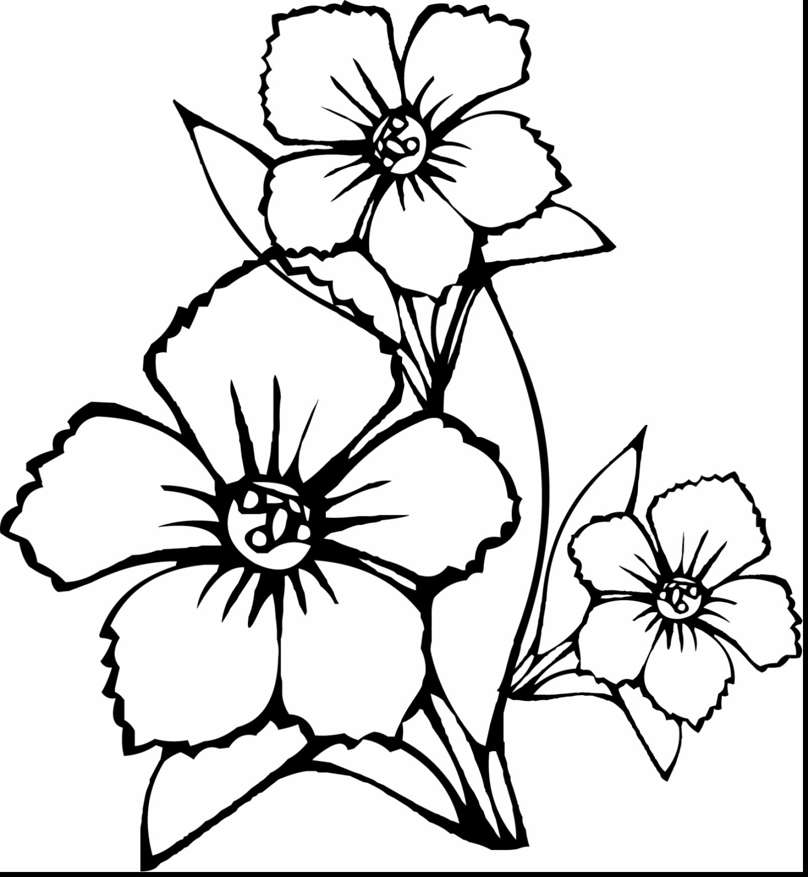 1610x1746 Happy Single Flower Coloring Pages Fresh Detai