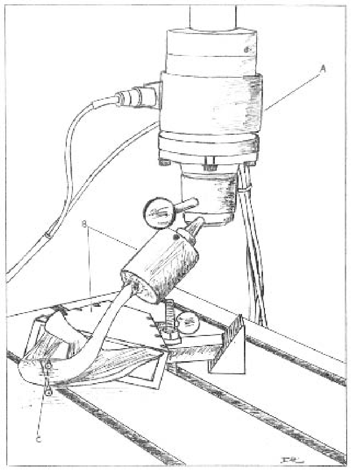 729x975 Experimental Setup. A, Materials Testing Device B, Clavicular